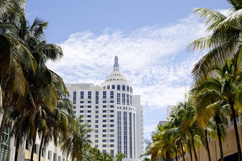 The Loews Miami Beach Hotel tower framed by palm trees against a blue sky